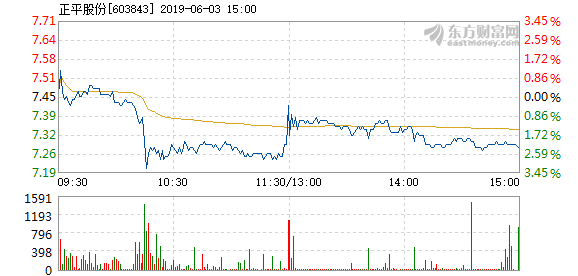 正平股份收盤下跌0.97%，市場(chǎng)分析與未來展望，正平股份收盤微跌，市場(chǎng)分析與未來展望展望。