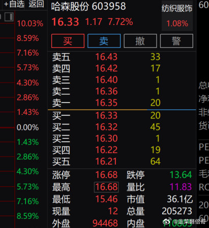 哈森股票最新消息綜述，哈森股票最新消息全面綜述