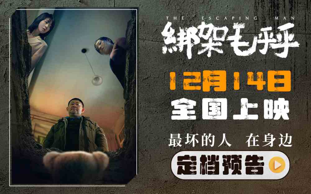 綁架毛乎乎為何未能如期上映，探究背后的原因，探究電影綁架毛乎乎未能如期上映的背后原因