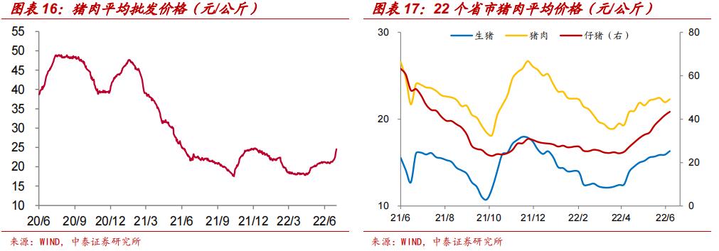 牧原股份股票，行業(yè)翹楚的崛起之路，牧原股份股票，行業(yè)翹楚的崛起之路分析