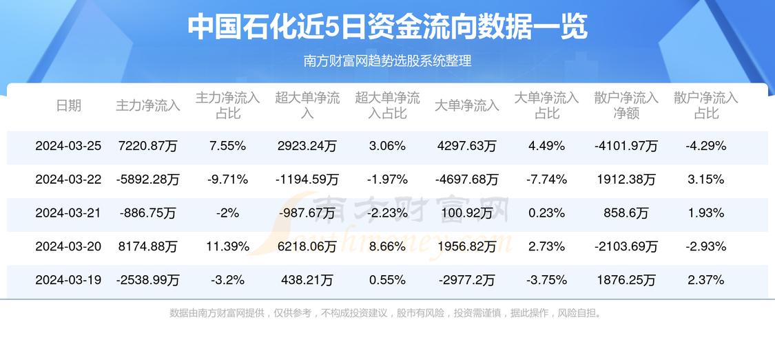 中國(guó)石化股票，深度解析與前景展望，中國(guó)石化股票深度解析及未來(lái)前景展望