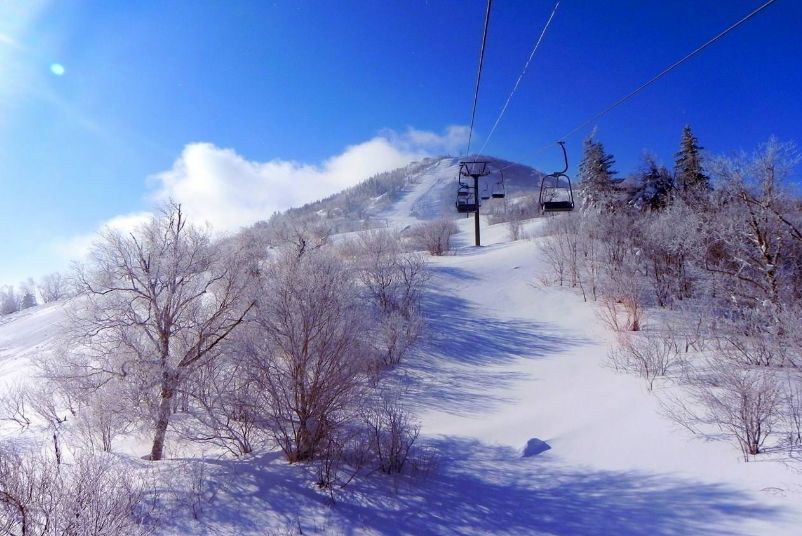 哈爾濱到亞布力滑雪場(chǎng)，詳細(xì)指南與路線攻略，哈爾濱至亞布力滑雪場(chǎng)攻略詳解，路線指南與體驗(yàn)指南