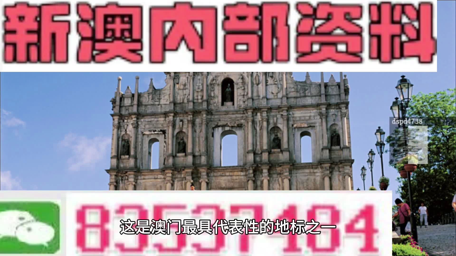 2024新澳門精準(zhǔn)免費(fèi)大全：全面解析與實(shí)用建議