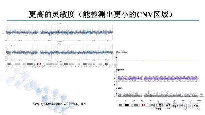 白小姐四肖四碼精準(zhǔn),全面數(shù)據(jù)分析方案_YE版41.921