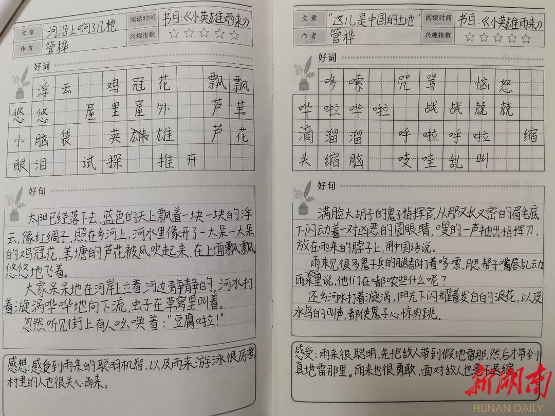 新聞?wù)?021最新5篇，最新新聞?wù)x，五篇新鮮出爐的新聞報(bào)道