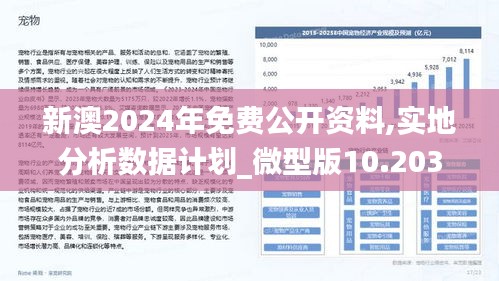 新澳2024正版資料免費(fèi)公開：市場競爭與戰(zhàn)略布局