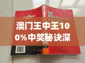 新澳門王中王與期期中的奧秘，探索彩票背后的故事，探索彩票奧秘，新澳門王中王與期期彩票背后的故事