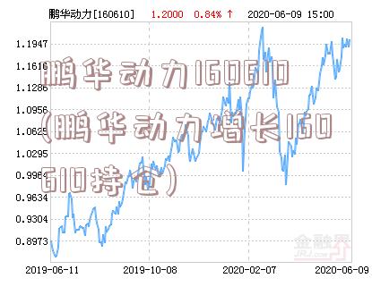 鵬華動力基金凈值分析（基金代碼，160610），鵬華動力基金凈值分析（代碼，160610）揭秘其投資潛力與風(fēng)險特征