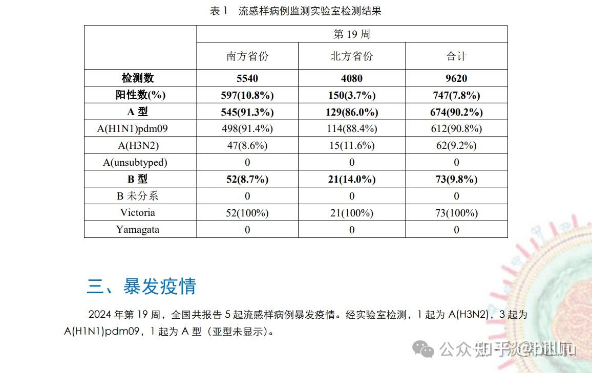 澳門旅游魅力