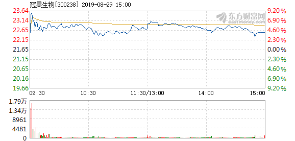 市場趨勢與前景展望