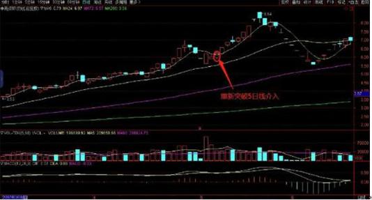 探索神秘的數字序列，600217背后的故事，揭秘數字序列之謎，探尋數字600217背后的故事