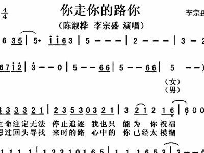 你走你的路——人生的選擇與堅持的簡譜，人生選擇與堅持的簡譜，你走你的路