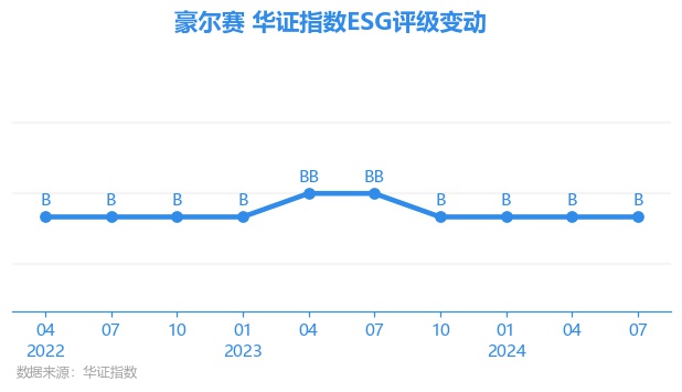 豪爾賽股票，投資潛力與市場前景分析，豪爾賽股票，投資潛力與市場前景深度解析