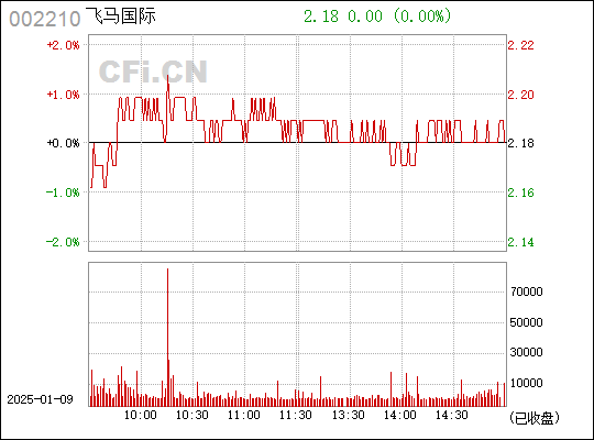 002210飛馬國(guó)際，引領(lǐng)物流行業(yè)的新篇章，飛馬國(guó)際引領(lǐng)物流行業(yè)新篇章