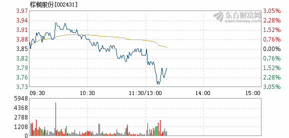 棕櫚股份股票，市場(chǎng)趨勢(shì)與投資前景分析，棕櫚股份股票投資前景及市場(chǎng)趨勢(shì)深度解析