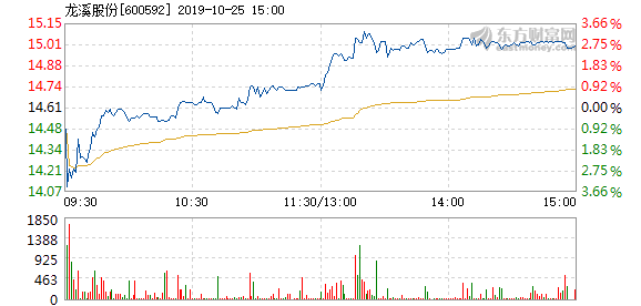 龍溪股份股票股吧深度解析，龍溪股份股票股吧全面深度解析