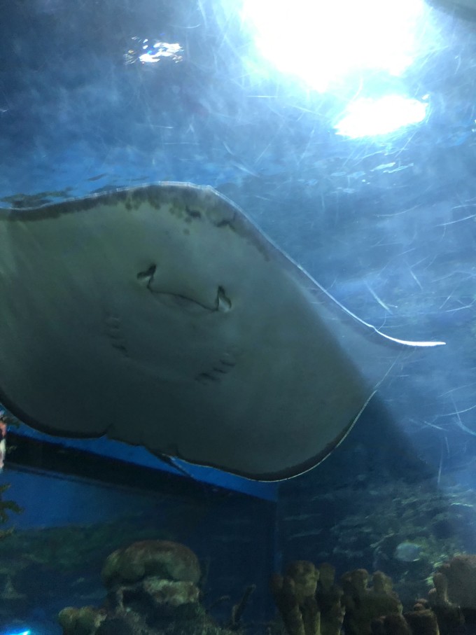 北京動物園海洋館攻略，北京動物園海洋館游玩攻略