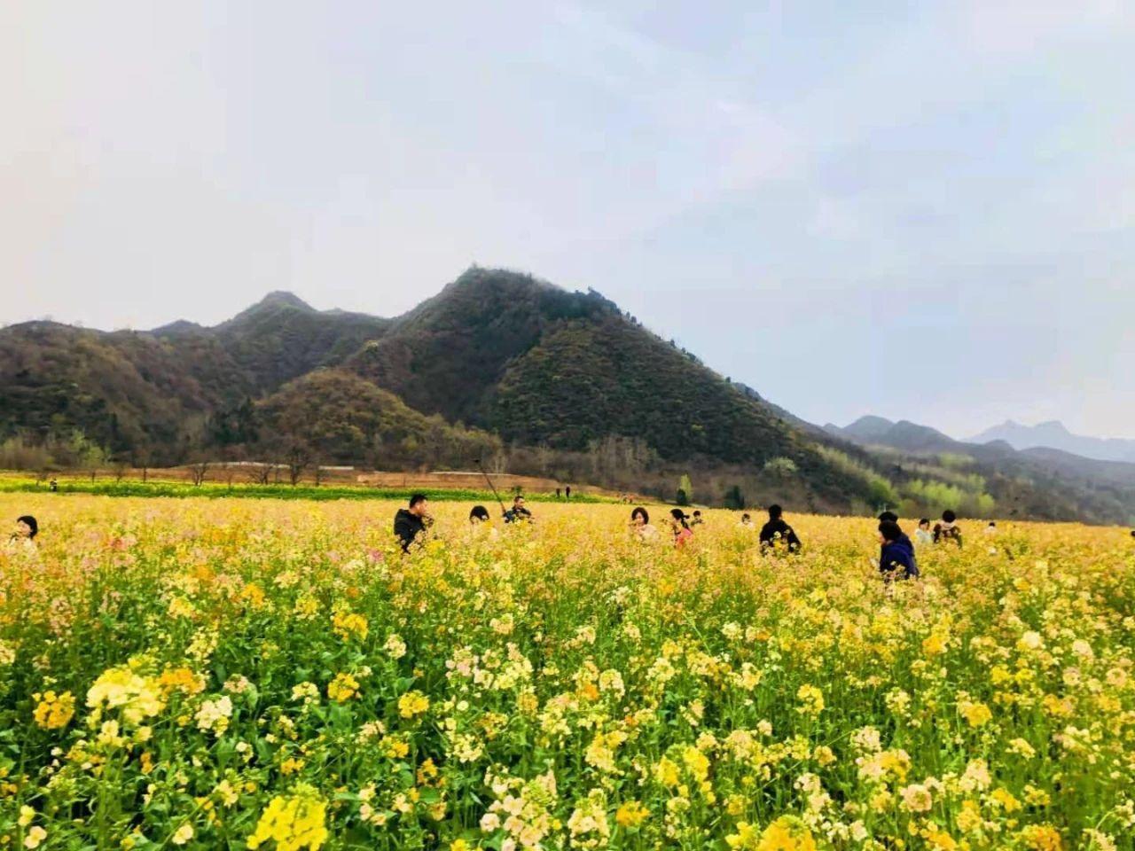 西安市旅游景點大全，西安旅游景點大全攻略