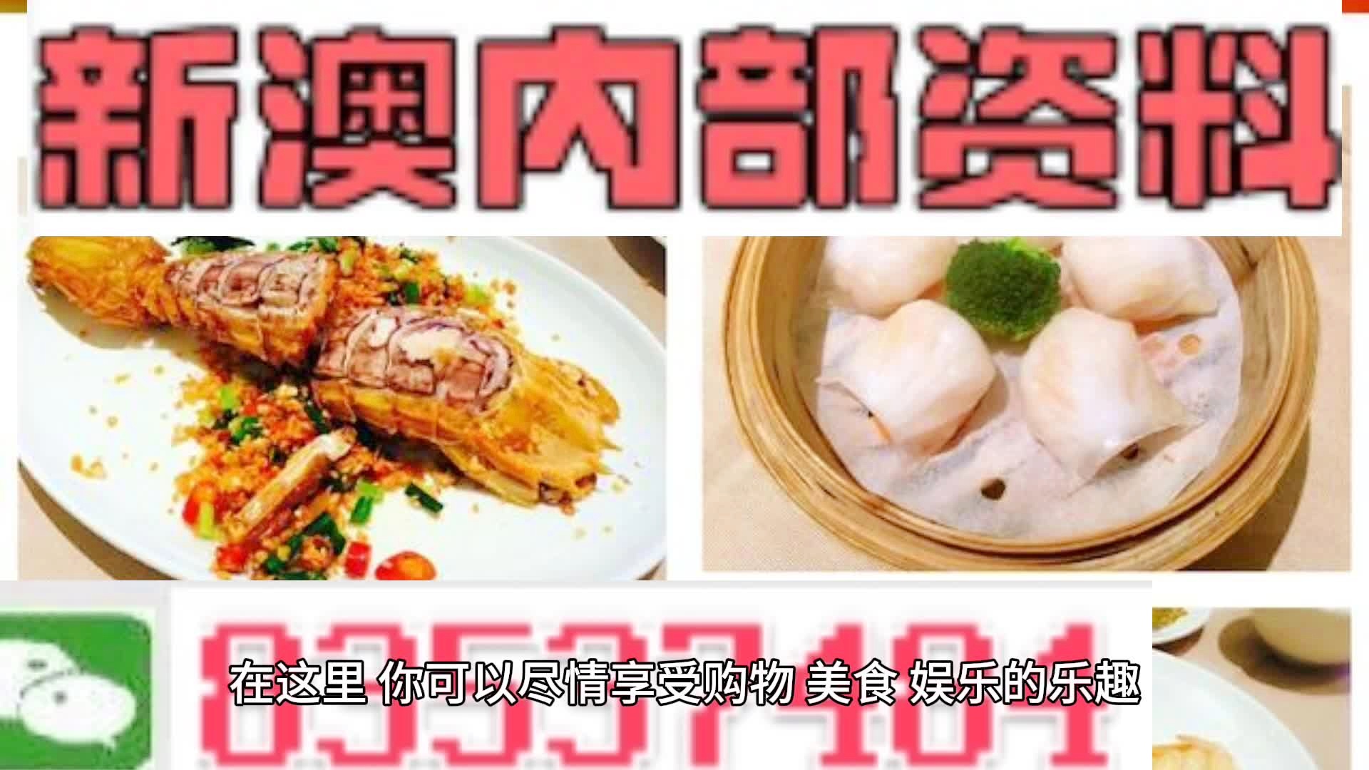 新奧天天精準(zhǔn)資料大全，探索與洞察，新奧天天精準(zhǔn)資料大全，探索與洞察的洞察