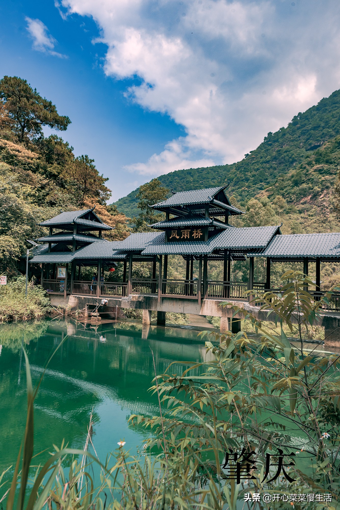 肇慶一日游免費(fèi)景點(diǎn)，探尋歷史與自然之美，肇慶一日游，免費(fèi)景點(diǎn)探尋歷史與自然之韻