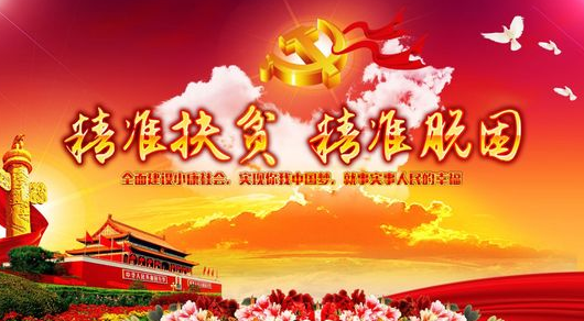 狀元紅精準(zhǔn)資料大全，探索42088的神秘面紗，狀元紅精準(zhǔn)資料大全揭秘，探索神秘?cái)?shù)字42088