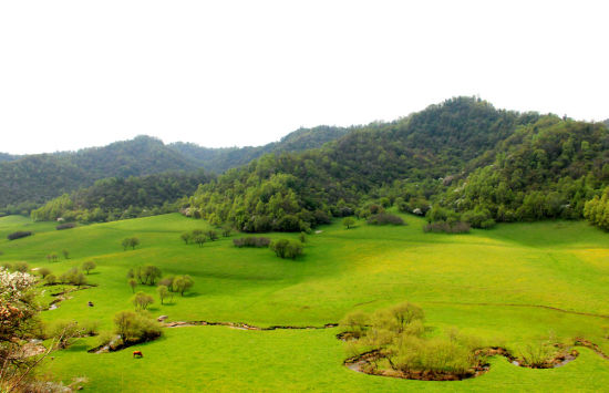 關(guān)山牧場，自然與人文的和諧交響，關(guān)山牧場，自然與人文的和諧樂章