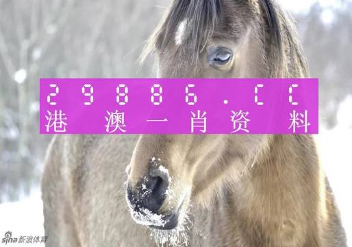 澳門一肖一碼，揭秘預(yù)測準(zhǔn)確背后的秘密，澳門一肖一碼揭秘預(yù)測準(zhǔn)確背后的秘密真相揭曉！