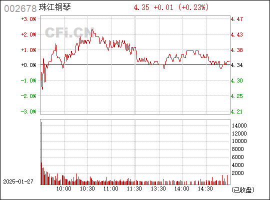 珠江鋼琴股票（代碼，002678）深度解析，珠江鋼琴股票（代碼002678）深度解析與投資策略