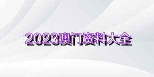 澳門正版資料與未來的展望（2025年視角），澳門正版資料的未來展望，2025年視角