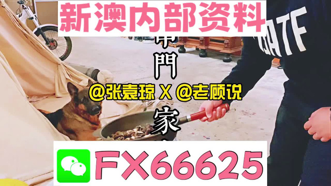 新澳門2025年資料大全管家婆，探索未來(lái)的繁榮與機(jī)遇，澳門未來(lái)繁榮與機(jī)遇展望，新澳門2025年資料大全管家婆揭秘