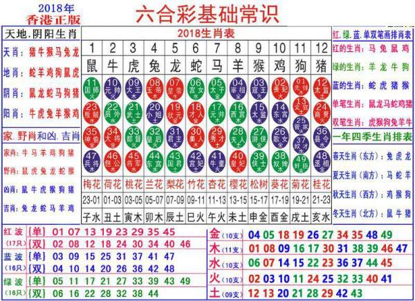 澳門正版資料大全與生肖卡的獨特魅力，澳門正版資料大全與生肖卡的獨特魅力揭秘