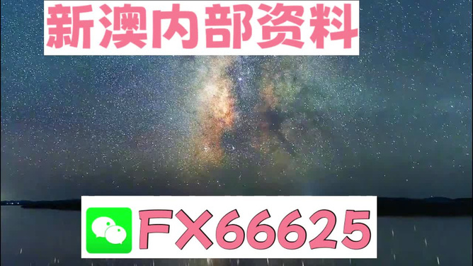 新澳好彩天天免費(fèi)資料，探索與解析，新澳好彩天天免費(fèi)資料解析與探索