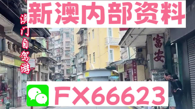 新澳精準(zhǔn)正版資料免費(fèi)，探索與解析，新澳精準(zhǔn)正版資料免費(fèi)解析探索