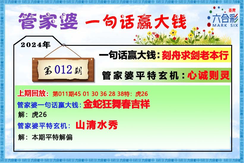 王中王資料與肖管家婆，深度解析與探討，王中王資料與肖管家婆，深度探討與解析