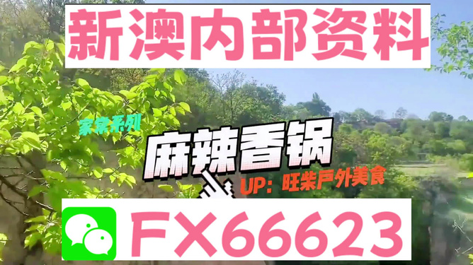 新澳精準(zhǔn)資料，免費(fèi)提供的力量與價(jià)值，新澳精準(zhǔn)資料，免費(fèi)提供的力量與價(jià)值的體現(xiàn)