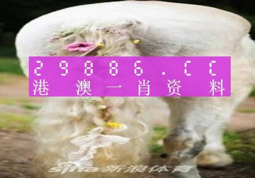 澳門(mén)內(nèi)部資料精準(zhǔn)大全2023，澳門(mén)內(nèi)部資料精準(zhǔn)大全2023年概覽