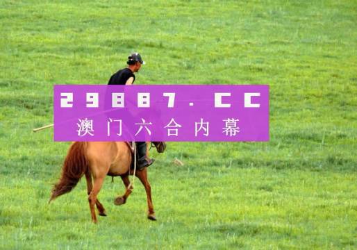 新澳門4949開獎結果最快，揭秘彩票背后的秘密，揭秘新澳門彩票背后的秘密，最快開獎結果揭曉4949期開獎數據