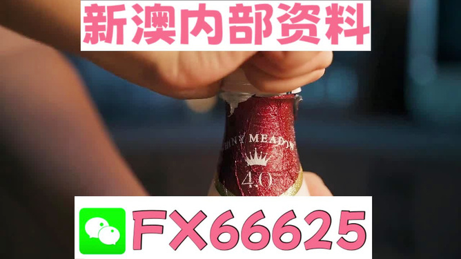 新澳門一碼一碼，探索準確預測的奧秘，澳門一碼精準預測探索之旅